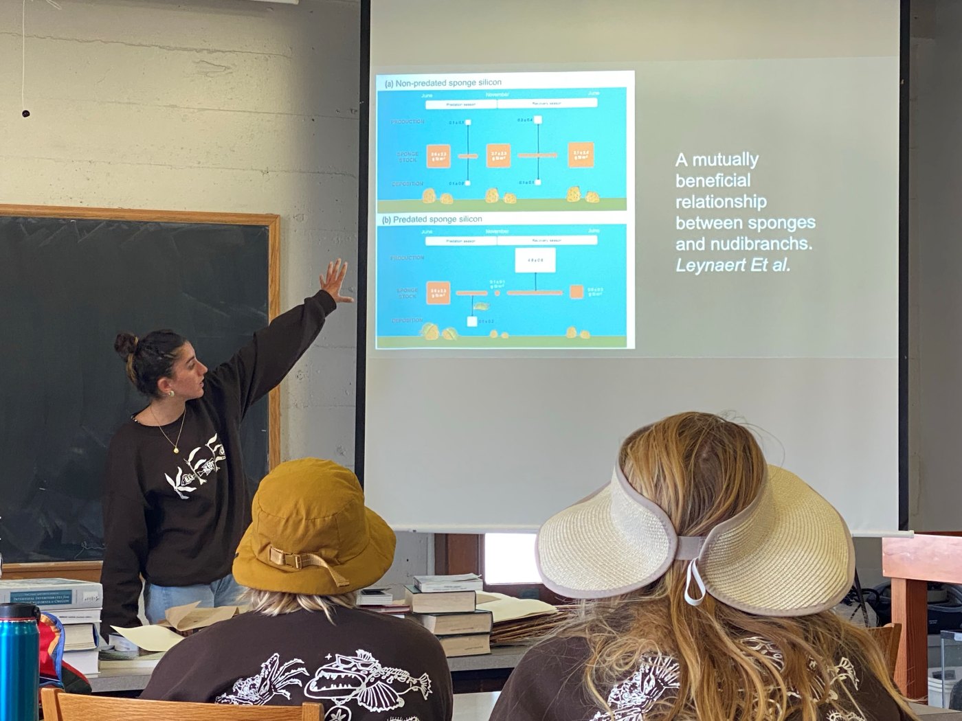 Leilani presenting a slide on a mutually beneficial relationship between sponges and nudibranchs, with diagrams of predated and non-predated sponge silicon, to classmates at Hopkins Marine Station