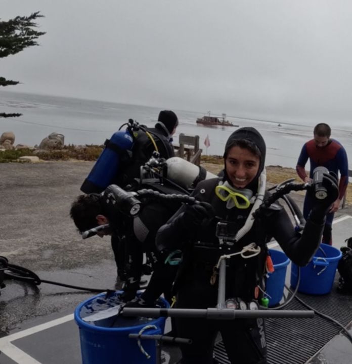 Kelp Forest Ecology