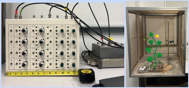 The legacy EPG: a large control box covered in gain and offset knobs and cables, next to a Faraday cage holding a plant