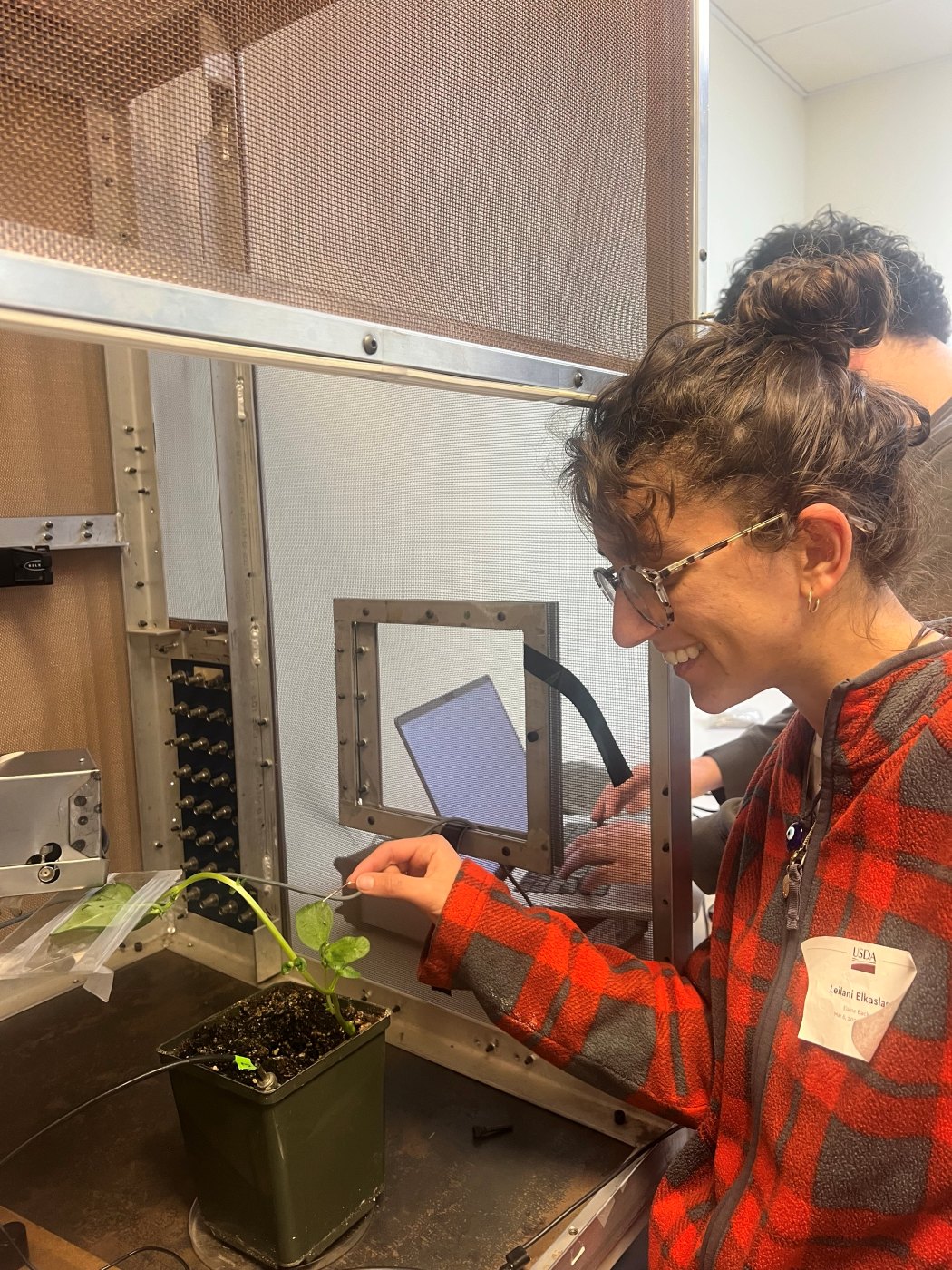 Leilani smiling as she positions a wire probe on a bean plant inside a metal-mesh Faraday cage at the USDA, while a teammate works on a laptop behind her