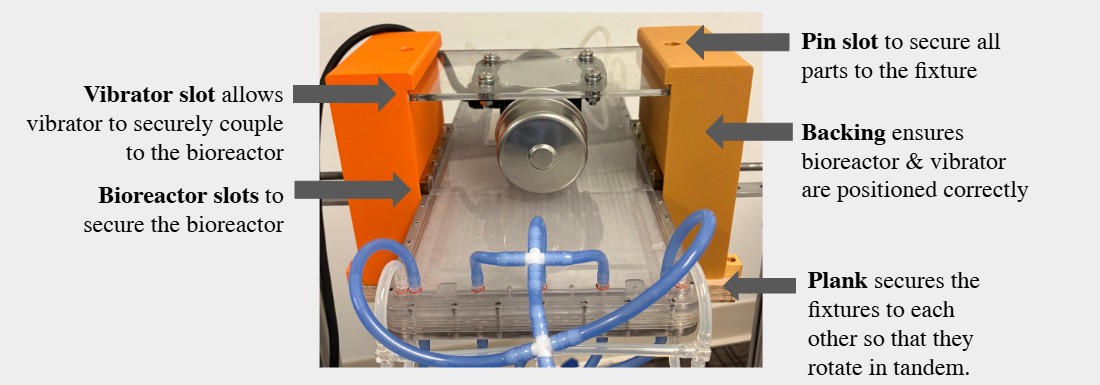 The bioreactor fixture with labels: vibrator slot, bioreactor slots, pin slot, backing, and the plank that makes the fixtures rotate together
